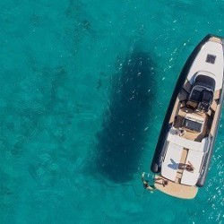 Isole Egadi: daily cruise privata